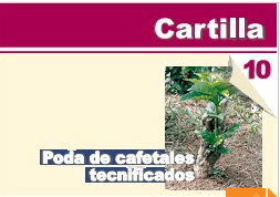 Cartillas Cafeteras - Capacitación 10