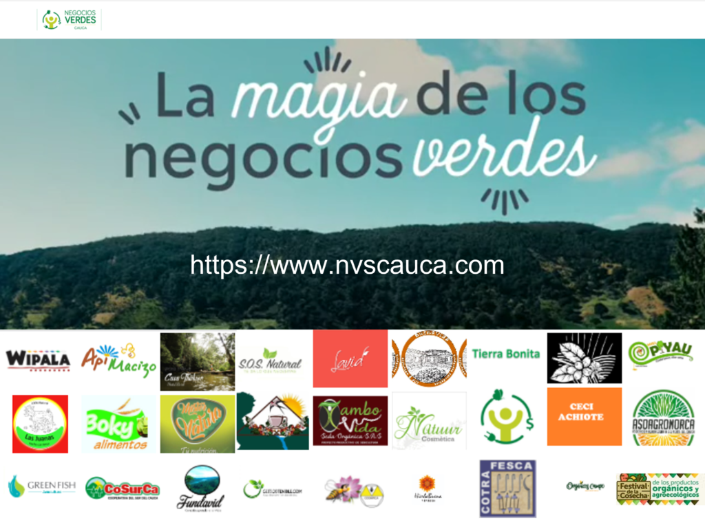 Pagina web-Negocios verdes y sostenibles Cauca 1