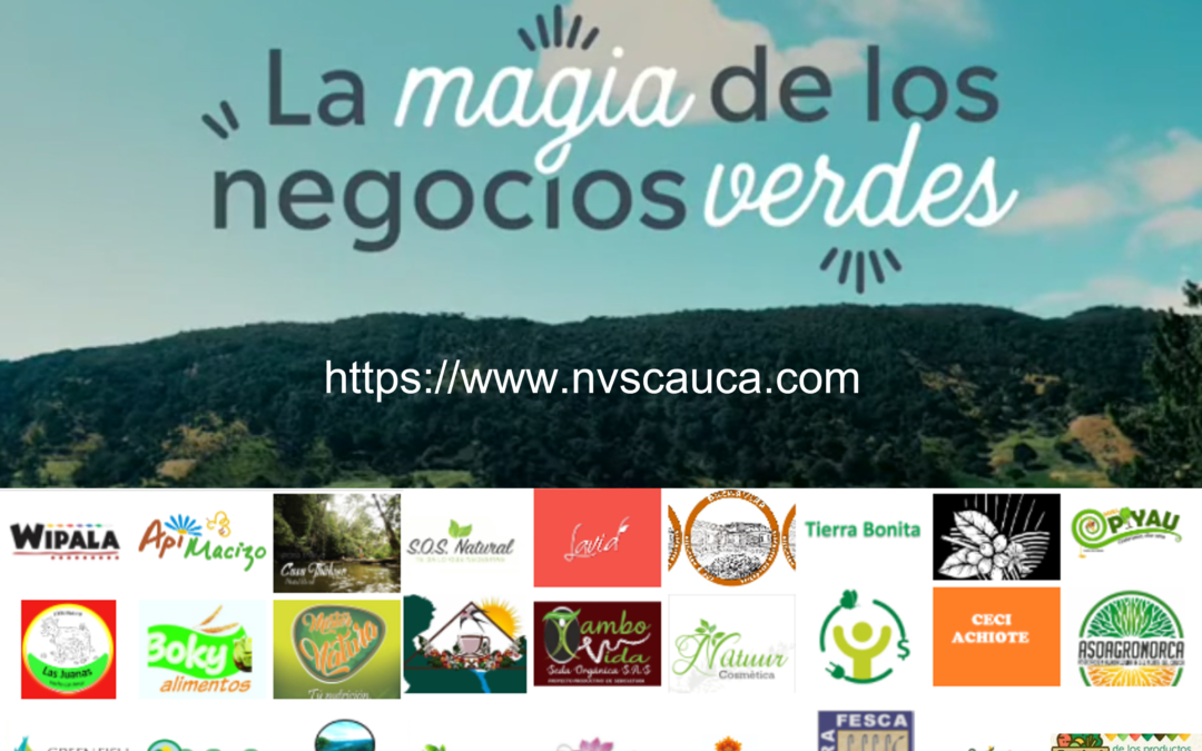 Pagina web-Negocios verdes y sostenibles Cauca